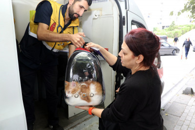 Sokak Hayvanları Ambulansımız ile Akşemsettin'deyiz