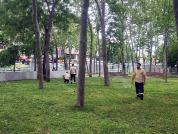 Park ve Bahçeler Müdürlüğü personeline sulama teknikleri eğitimi Park ve Bahçeler Müdürlüğü personeline sulama teknikleri eğitimi