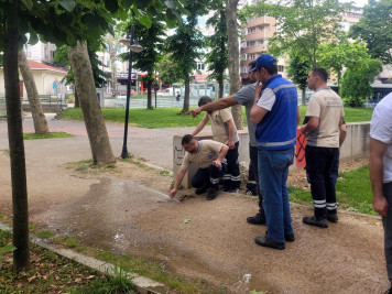 Park ve Bahçeler Müdürlüğü personeline sulama teknikleri eğitimi