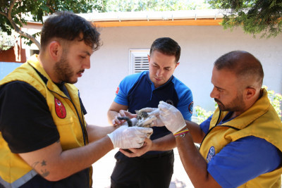 Patili dostlarımız için hizmet üretiyoruz