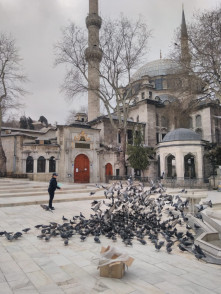 Eyüpsultan Güvercinlerinin Rızkı Antalya'dan Geldi