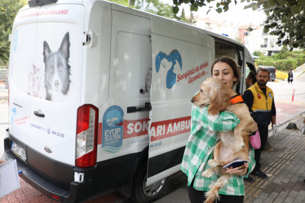 Sokak Hayvanları Ambulansı