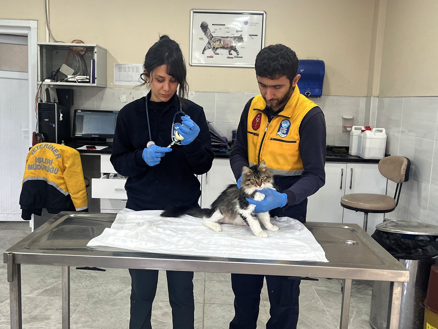 Patili dostlarımız için hizmet üretiyoruz Patili dostlarımız için hizmet üretiyoruz