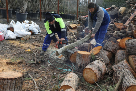 Fırtınada devrilen ağaçlar ihtiyaç sahiplerini ısıtıyor